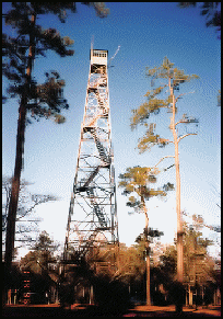 Honey Hill (SC) photo