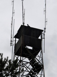 October 19, 2013 (photo by Tony Schellenbach)