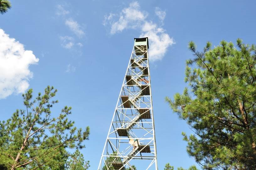 Eleanor McCain photo