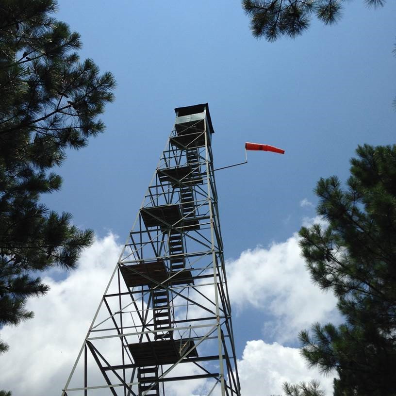 Eleanor McCain photo