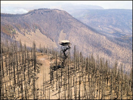 Escondilla Lookout burned in the Wallow Fire, June 2011