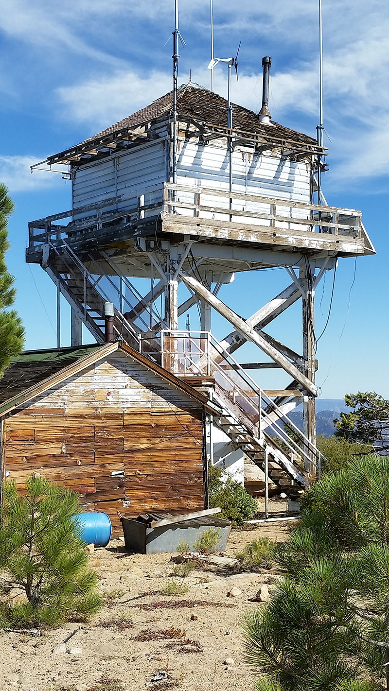 2015 Neil Cadwallader photo