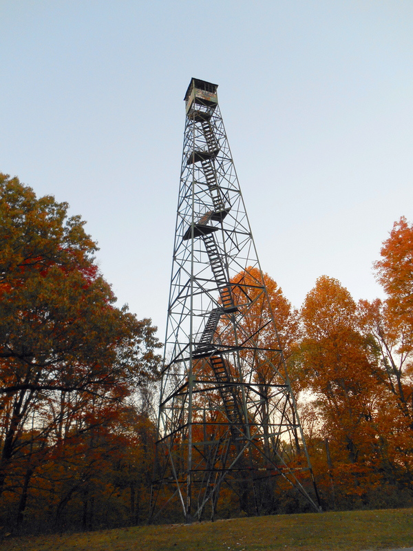 Indiana Story Teller photo (https://indianastoryteller.wordpress.com/tag/pike-state-forest/)