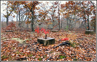 Original location of tower