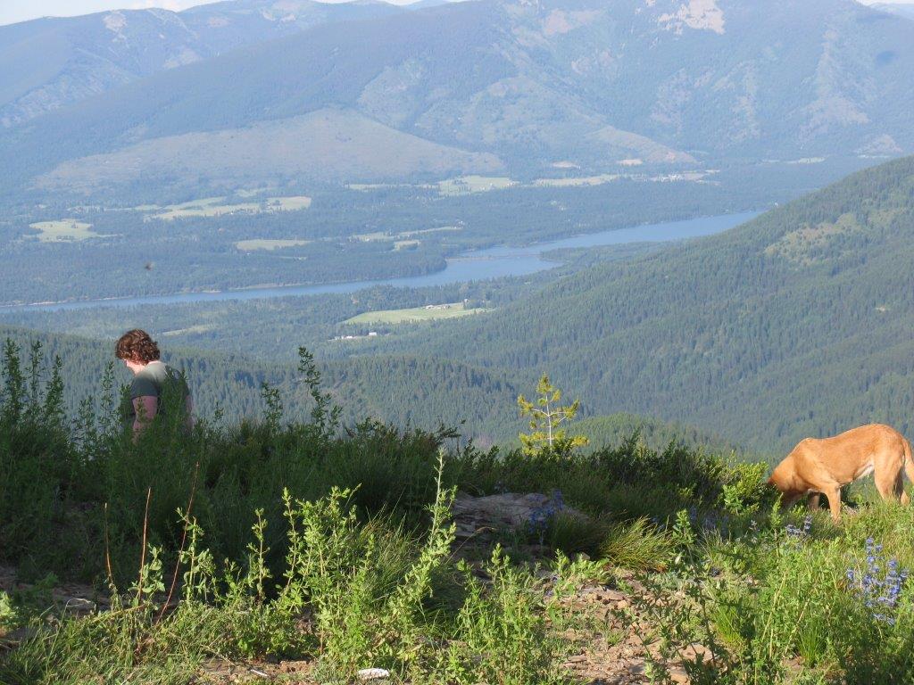 View from Minton Peak Lookout (photo by David Kresek)