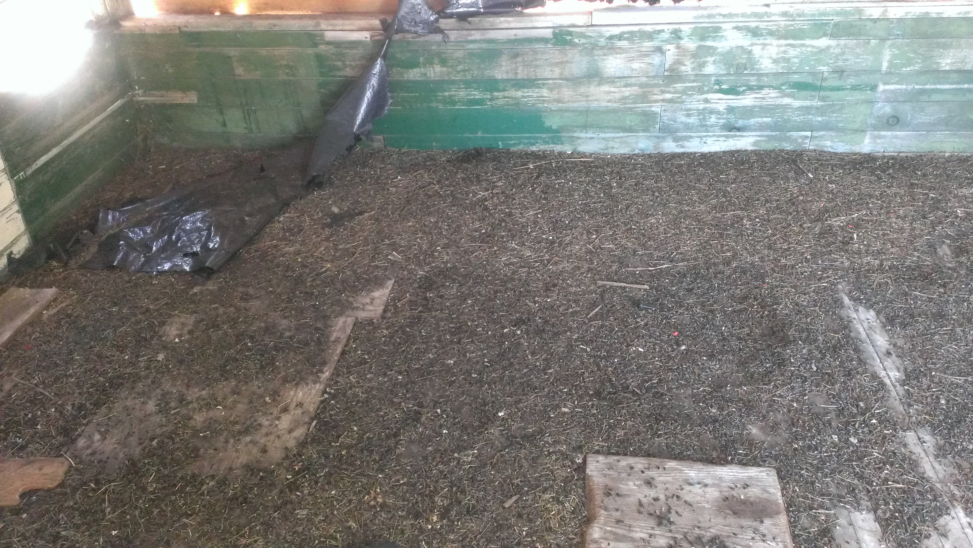 2013 interior photo by Luke Channer.