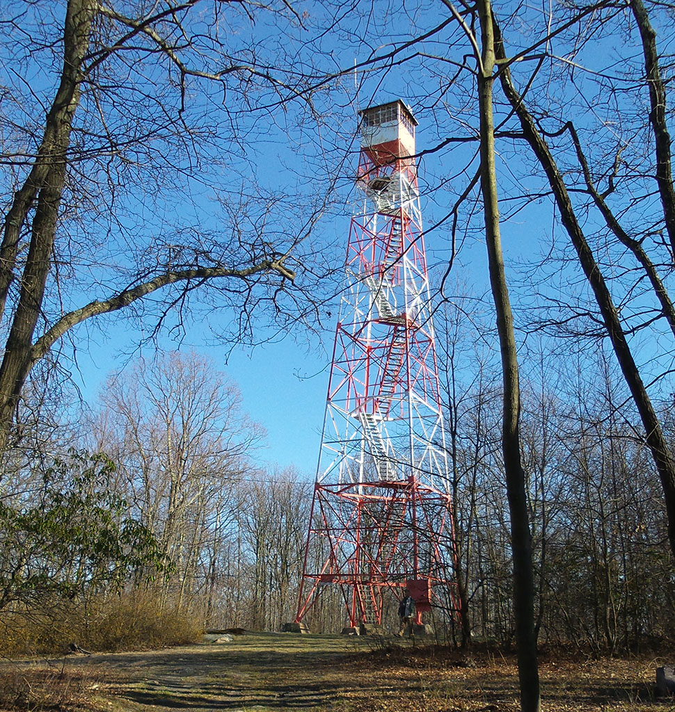 April 2016 photo by Jan Braidech