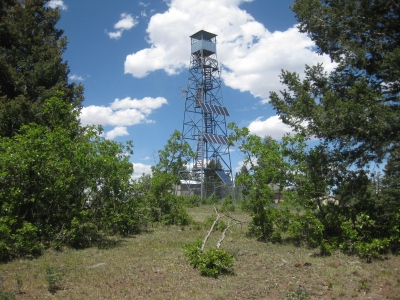 Photo courtesy of Mark Gutzman