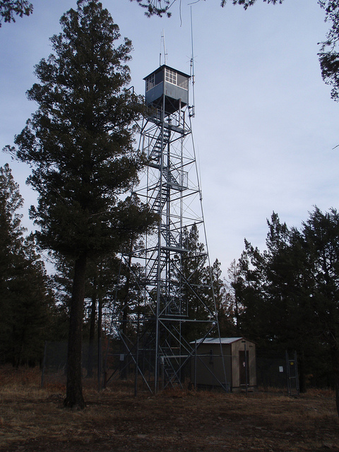 Photo courtesy of Mark Gutzman