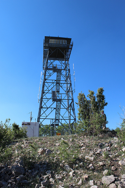 Photo courtesy of Mark Gutzman