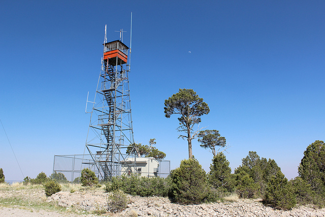 Photo courtesy of Mark Gutzman