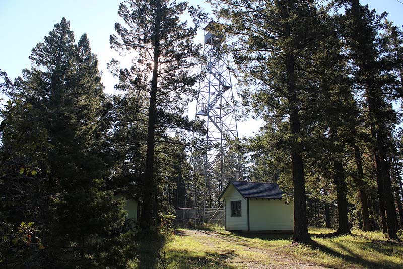 Photo courtesy of Mark Gutzman