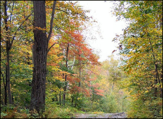 10/1/2009 photo by Bill Starr