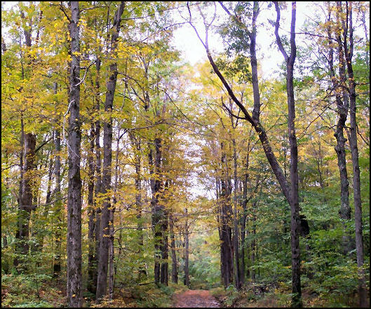 10/1/2009 photo by Bill Starr