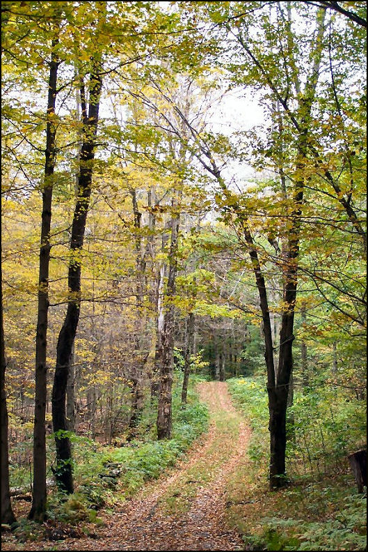 10/1/2009 photo by Bill Starr