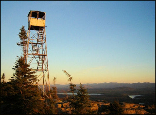 Additional photos courtesy of David Petrelli
Petrelli