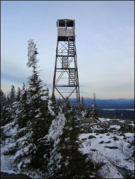 Additional photos courtesy of David Petrelli
Petrelli