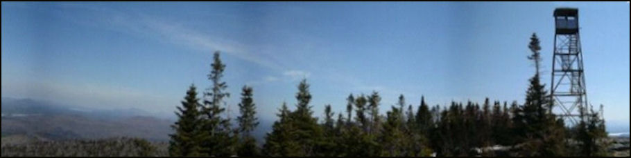 Additional photos courtesy of David Petrelli
Petrelli