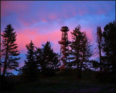 2009 Rod Bacon photo
