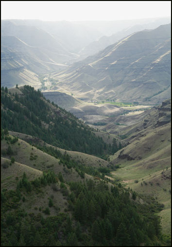 2009 Rod Bacon photo