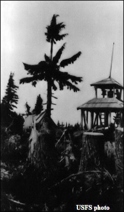 Cupola, 1918-1928