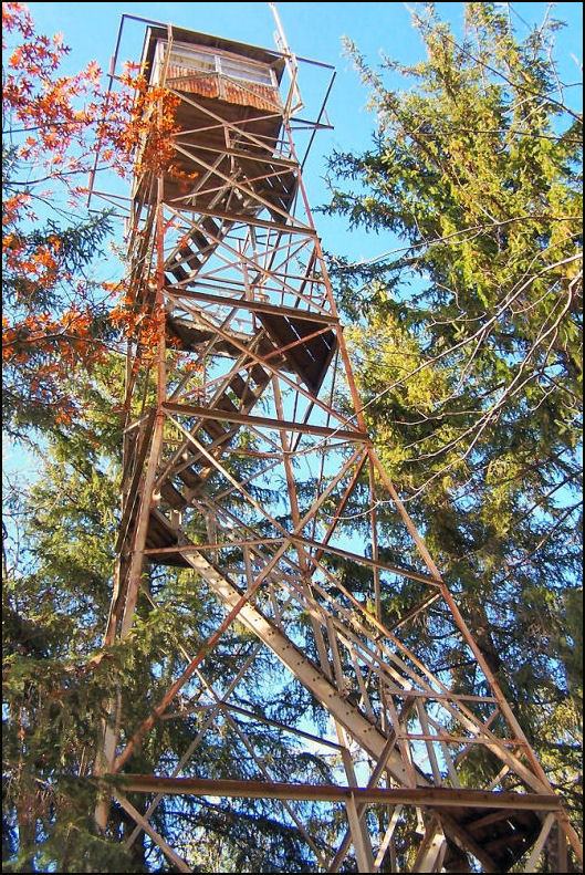 Photo by Bill Starr, November 1, 2009