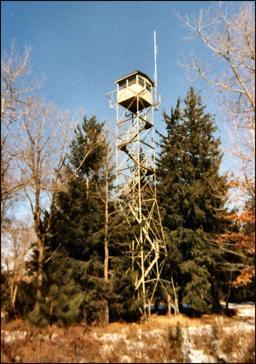 Photo by Mark Haughwout, January 1990