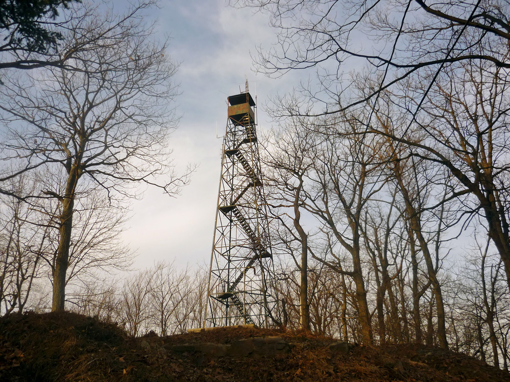 Photo by Jared Wagaman