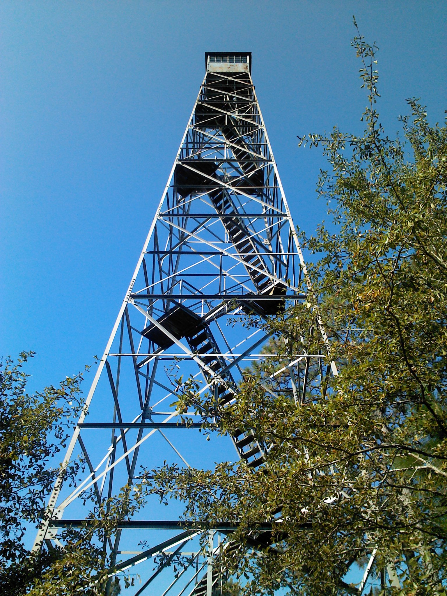 October 2013 photo by Michael T. Finch, Jr.