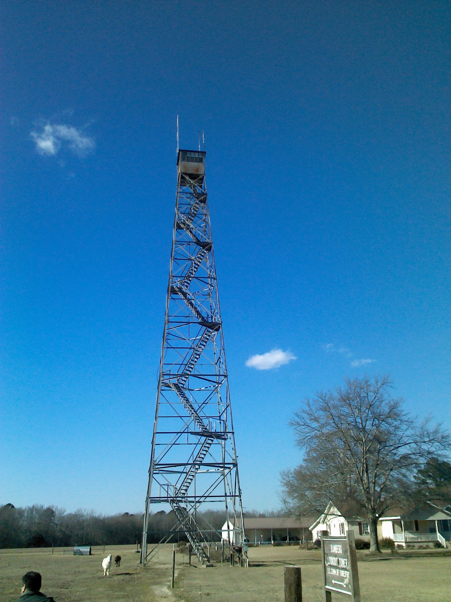 Michael T. Finch, Jr. photo