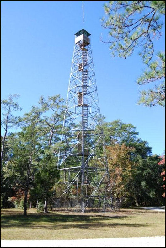 Photo courtesy of Ron Stafford