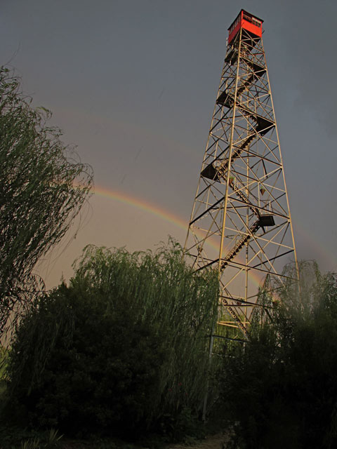 Photo by Ethan Kauffman