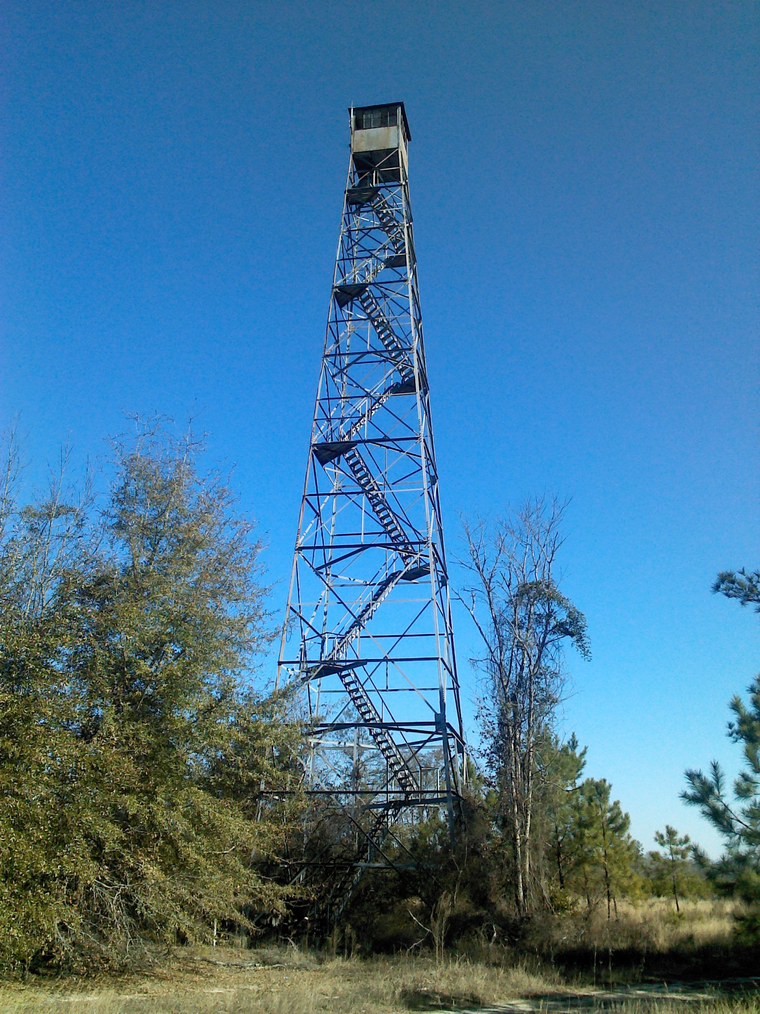 Michael T. Finch, Jr. photo