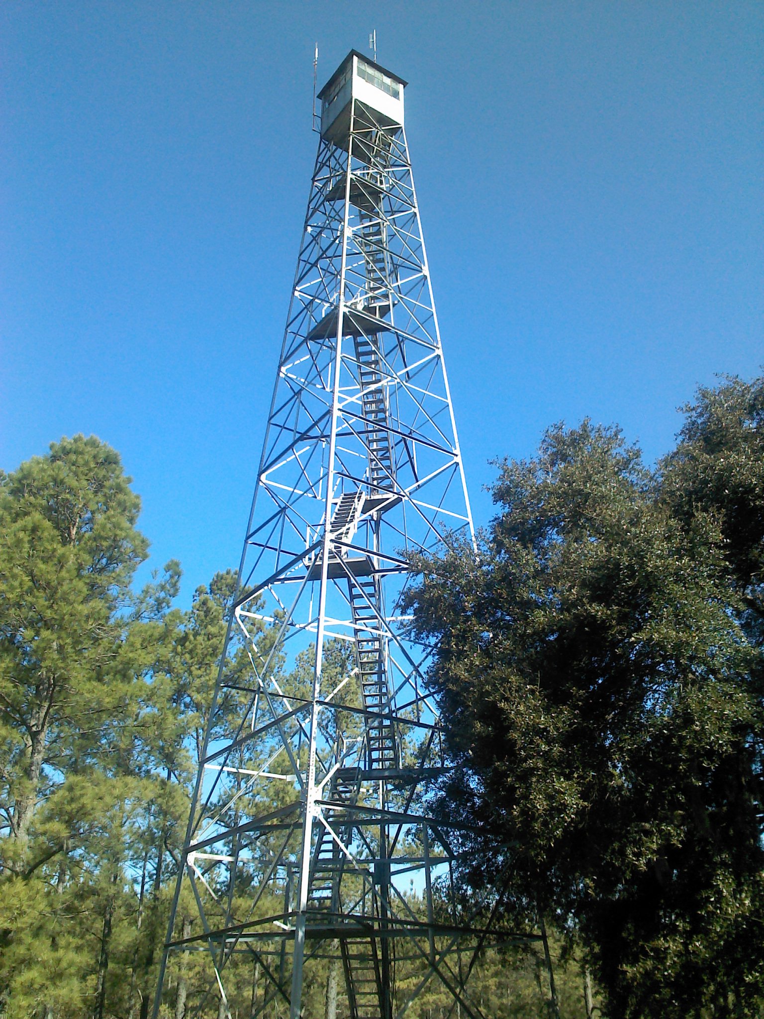 Michael T. Finch, Jr. photo