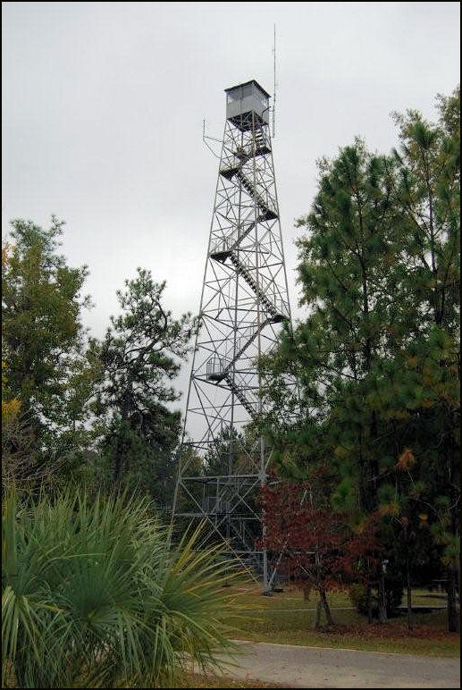 Photo courtesy of Ron Stafford