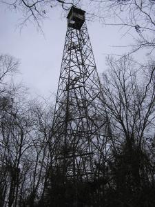 TNLandForms.us photo