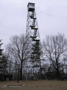 TNLandForms.us photo