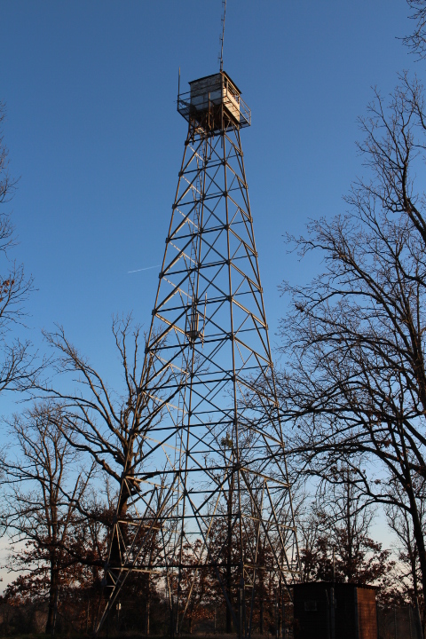 Photo by Peter Christensen