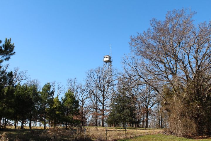 Photo by Peter Christensen