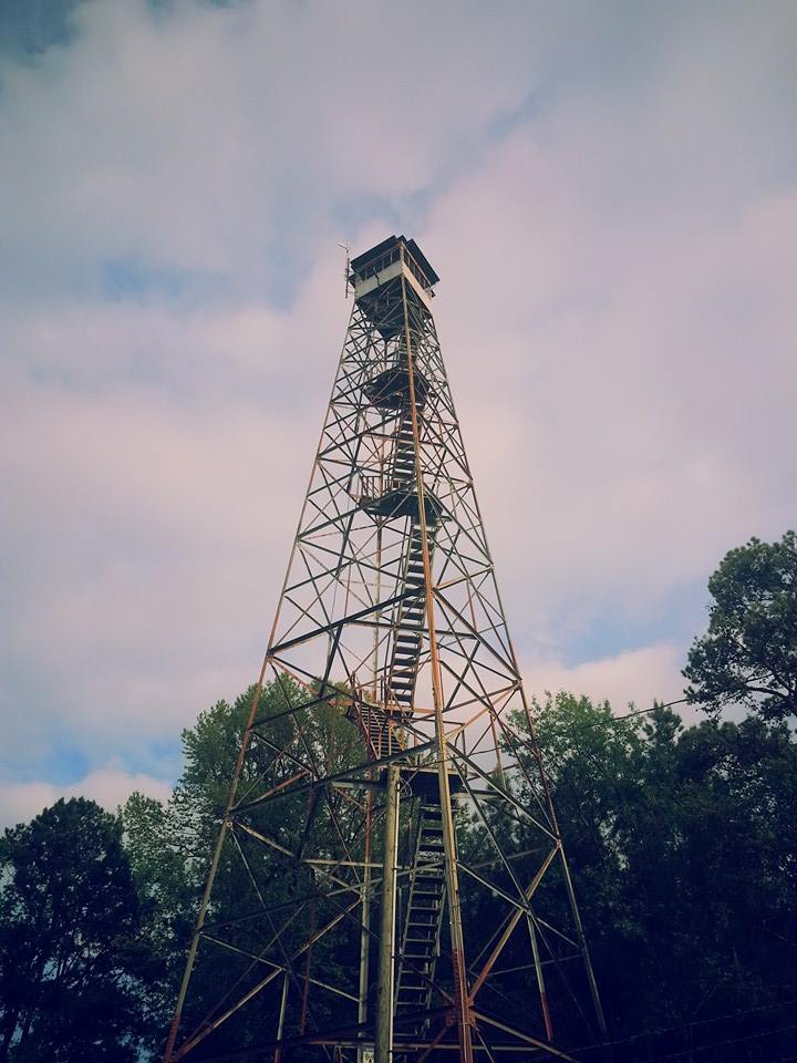 Kristin Scholetzky photo