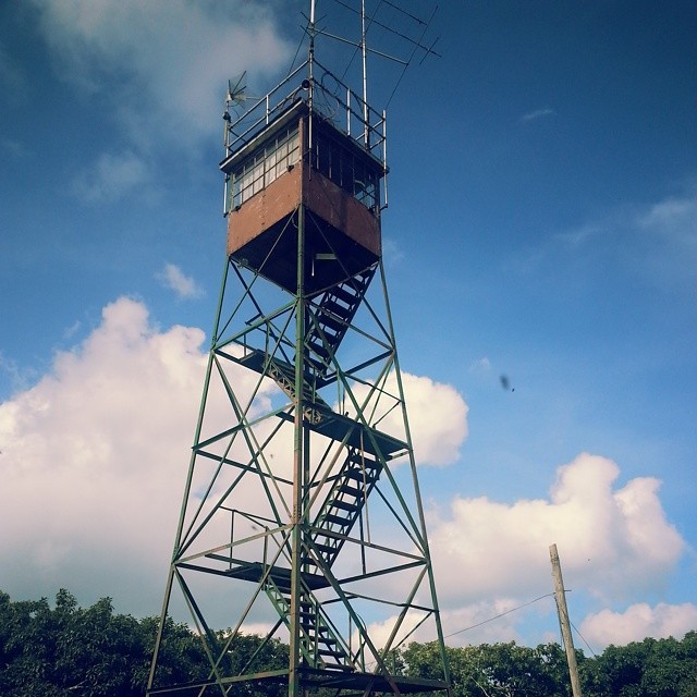 Summer 2014 (Kristin Scholetzky photo)