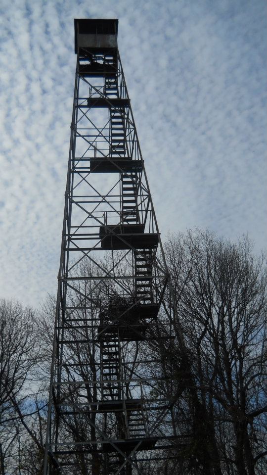 Kristin Scholetzky photo