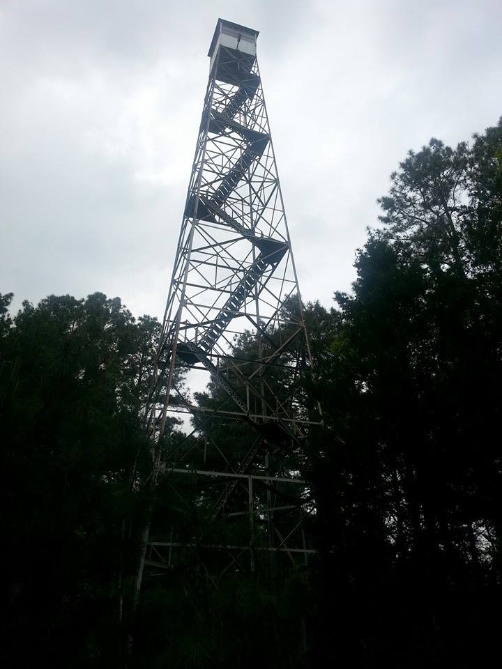 Kristin Scholetzky photo