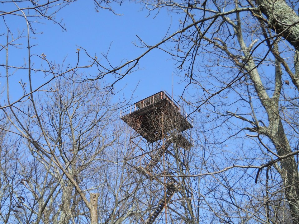 Kristin Scholetzky photo