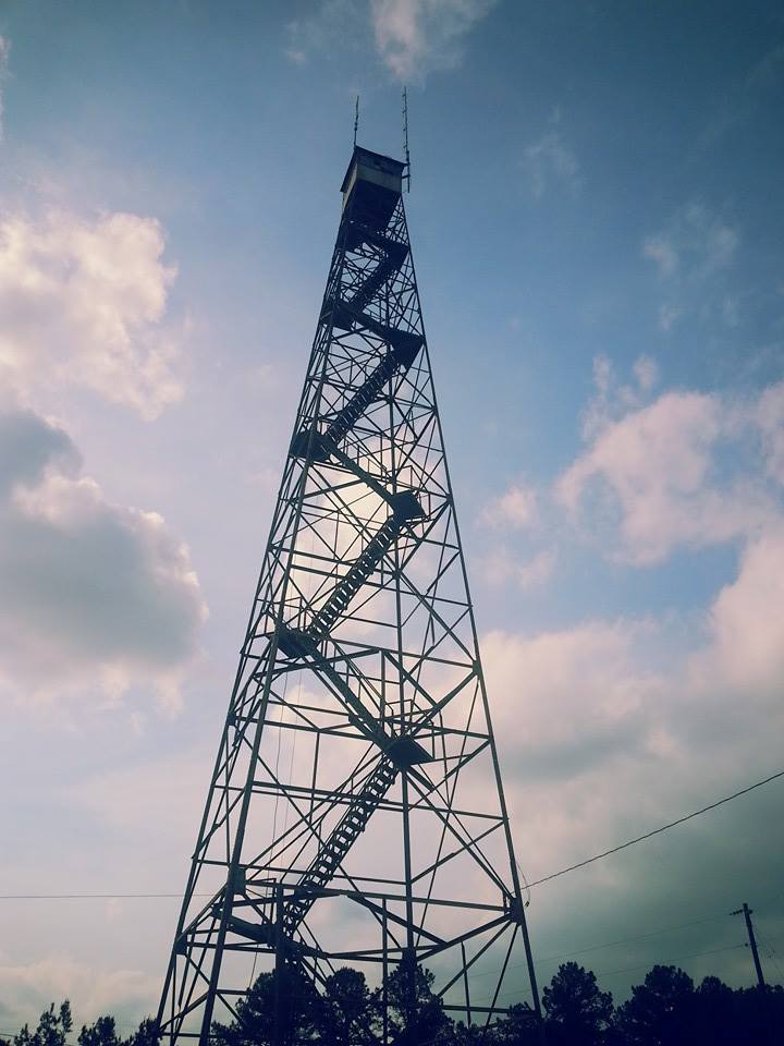 Kristin Scholetzky photo