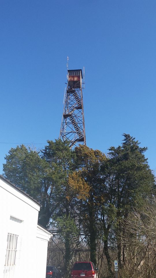 Krissy Reynolds photo