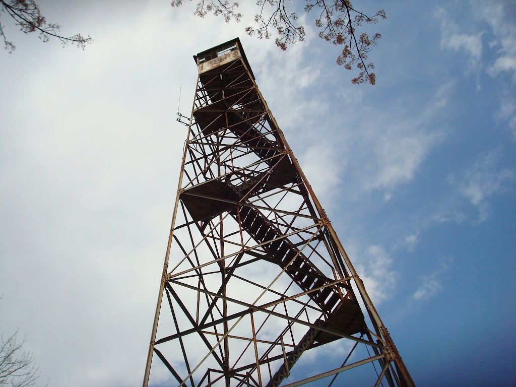 Photo by TheBigGiantHead