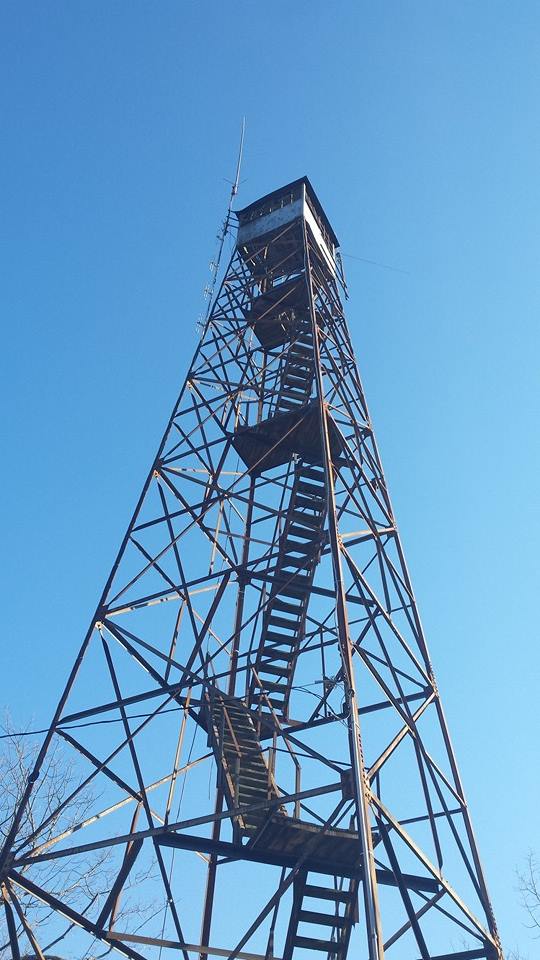 Krissy Reynolds photo