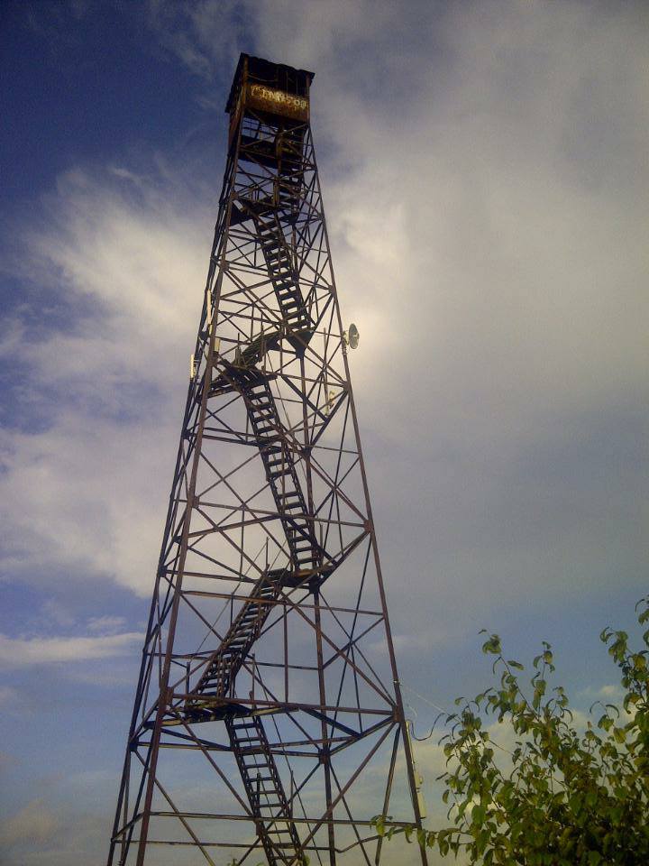 Kristin Scholetzky photo