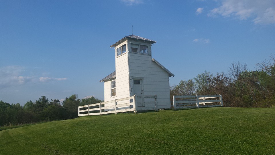 Krissy Reynolds photo